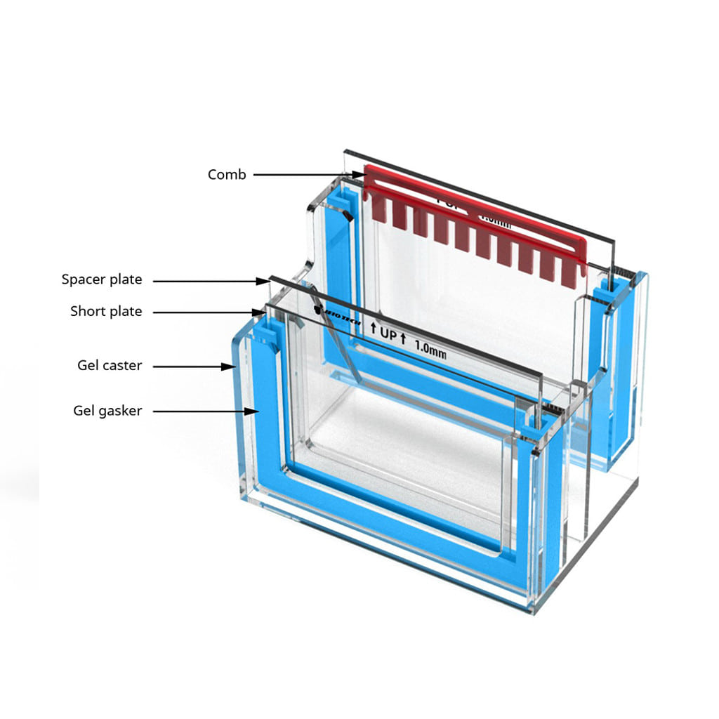 수직형 전기 영동 장치 thumbnail 3