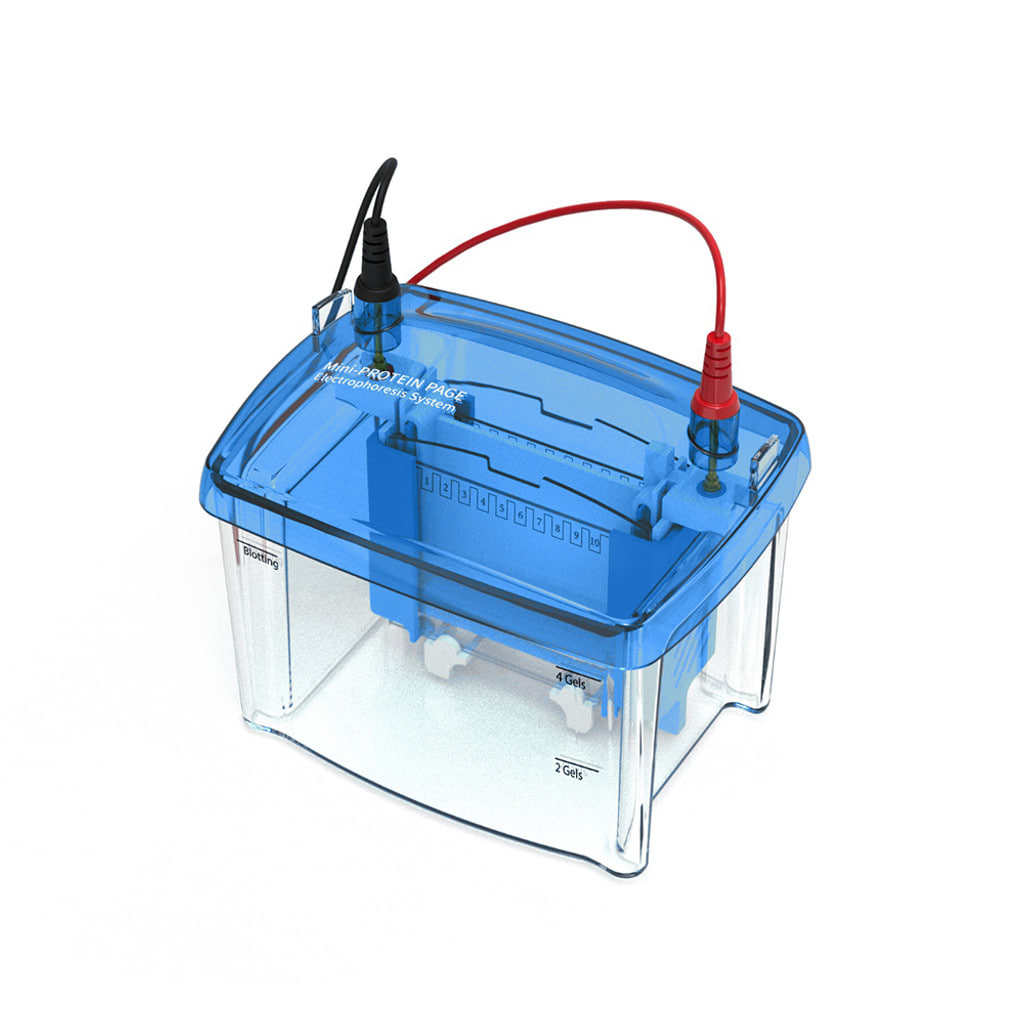 수직형 전기 영동 장치 thumbnail 2