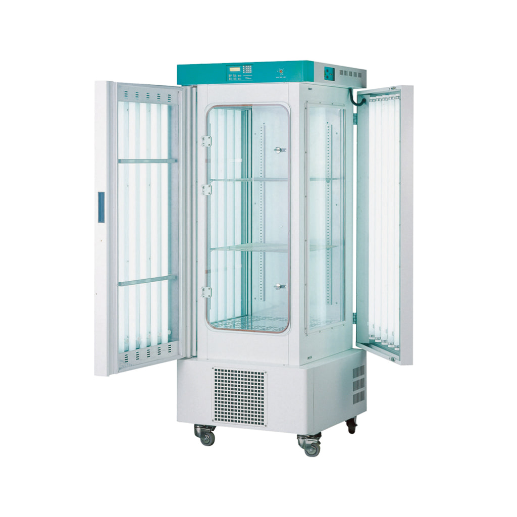 식물 생장상 thumbnail 2